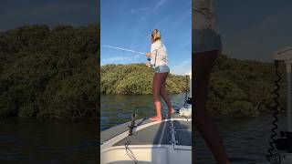 Fishing in Homosassa Full video coming soon shorts fishing keepinitcountry redfish florida [upl. by Hospers]