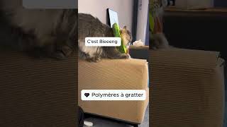 La solution ultime contre les griffures de chat sur vos meubles [upl. by Yobybab]