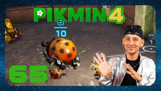 Pikmin 4  65  KlippenHindernislauf und Oase der Ordnung German  Lets Play [upl. by Sergias]