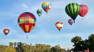 Come with me to the Waikato Balloons 2023 [upl. by Assillim]