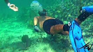 Riviera Maya Reef Snorkeling [upl. by Tallbott]