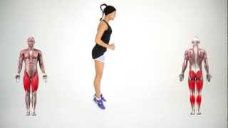 Bunny Hops  Leg Exercises  Butt Exercise  Lower Body [upl. by Settera]