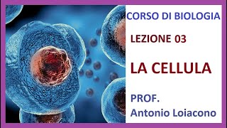 CORSO DI BIOLOGIA  Lezione 03  La Cellula [upl. by Ainafets280]