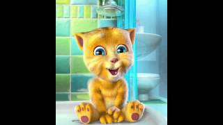 gatinho falante cantando sertanejo [upl. by Algie]