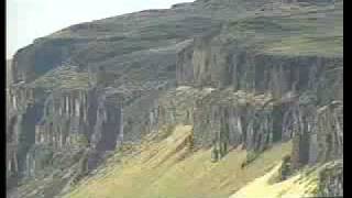 Trees of Stone  Ginkgo Petrified Forest State Park  Part 2 of 3 [upl. by Nasas]