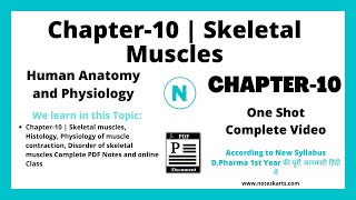 Chapter 10 Skeletal Muscles Complete Class DPharm 1st year Human Anatomy and Physiology [upl. by Eerac]