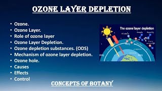 Ozone Layer Ozone Layer Depletion Causes Effects Solution Hindi Urdu Concepts of Botany [upl. by Notsua]