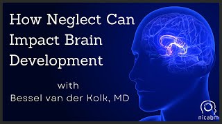 How Neglect Can Impact Brain Development – with Bessel van der Kolk MD [upl. by Elyag87]