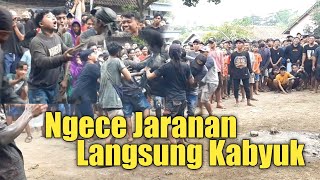 Jaranan Berlumpur Ngamuk Penonton Kocar kacir  Suko Budoyo Banjaragung [upl. by Jaquelin]