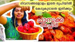 ചാമ്പക്ക അച്ചാർ 😋champka acharacharjava applejava apple picklepickle [upl. by Ellesij]