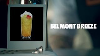 BELMONT BREEZE DRINK RECIPE  HOW TO MIX [upl. by Upton]