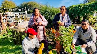 My YouTube viewers came to visit my allotment Nepali vegetables garden UK Allotment UK [upl. by Hasty]