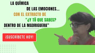 👁 Conoce LA QUÍMICA DE LAS EMOCIONES con el extracto de quot¿Y tú que sabes Dentro de la madrigueraquot 🐇 [upl. by Konstantin797]