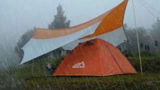 SOLO CAMPING IN HEAVY RAIN strong rainstorm soothing rain sound ASMR [upl. by Henricks73]