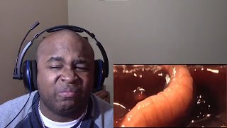 BlastphamousHD Reacts to 5 Disturbing Things You Should Never Google Part 3  REUPLOAD [upl. by Lundin]