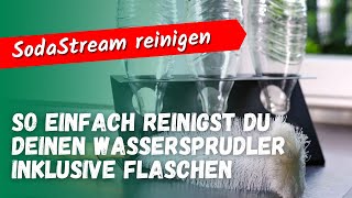 SodaStream reinigen und entkalken inkl Flaschen So einfach geht’s [upl. by Herschel566]