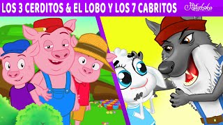 Los Tres Cerditos  El Lobo y los Siete Cabritos  Cuentos infantiles para dormir en Español [upl. by Verras727]