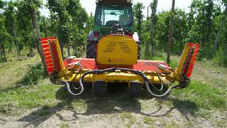 Verschillende mechanische onkruidbestrijding mogelijk in biologische fruitteelt [upl. by Tedman]