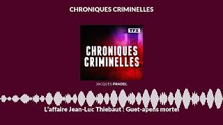 L’affaire JeanLuc Thiebaut  Guetapens mortel  Chroniques Criminelles [upl. by Aneeroc]