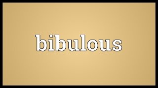 Bibulous Meaning [upl. by Warrenne]