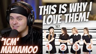 Music Producer REACTS to MAMAMOO 1CM Taller Than You MV  마마무 1cm의 자존심  Reaction  Yong [upl. by Rodriguez658]