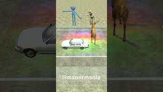 animal crossing the road challenged 길건너친구들 zoonomaly accident crossing animal 동물 friend [upl. by Kristof]