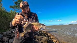 Fishing And Exploring The Burdekin River [upl. by Stormy]