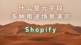 Shopify Metafields 是什么？有什么用？多种用途演示让你了解元字段 打造个性化电商店铺 [upl. by Eirrac]