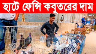 হাটে ফেন্সি কবুতরের দাম  kobutor hat 2023  pigeon market  kaptan bazar kobutor hat  Part1 [upl. by Ojillib132]