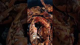 GRILLED LOBSTER seafood food jamaica caribbean [upl. by Nolahc]