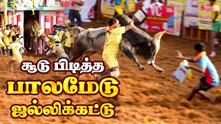 சூடு பிடித்த பாலமேடு ஜல்லிக்கட்டு  Palamedu Jallikattu 2023  Jallikattu 2023  IBC Tamil [upl. by Masera965]