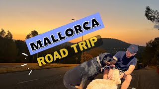 Driving to Mallorca and vlog in my Ford Transit MSRT from the UK [upl. by Lubeck]