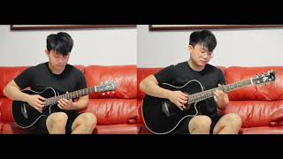 Elvis Presley Cant Help Falling In Love  HONMING guitar cover [upl. by Enelhtac]