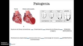 Enfermedad de Chagas 4 [upl. by Annaillil]