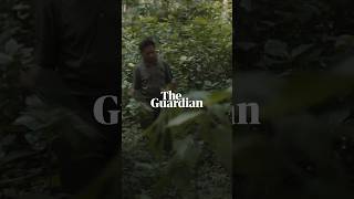 The whistled language of Northern Laos  Birdsong [upl. by Onstad]