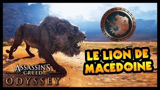 LE LION DE MACÉDOINE  TROPHÉE LION SOLITAIRE Assassins Creed Odyssey [upl. by Meris]