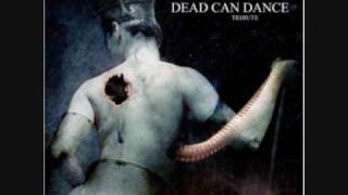 Faith And The Muse  Mesmerism Dead Can Dance Cover [upl. by Fayette]