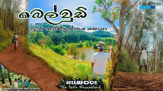 Bellwood Sri Lanka බෙල්වූඩ් පුංචි නවසීලන්තයටVlog 5 [upl. by Mina973]