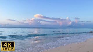 Pink Ocean Sunrise Calming Waves and Sky in 4K [upl. by Neehs]