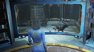 Fallout 4 Get Dogmeat inside Vault 111 for Cryolator ⭐ Legendary Weapon fypシ fyp ps5 ps4 gaming [upl. by Onailil931]