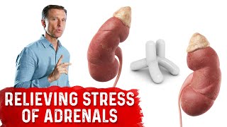 The BEST Acupressure Technique for Relieving Stress of Your Adrenals [upl. by Suaeddaht368]