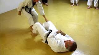 Tom Hills Karate Dojo Tenshio Enpi Hizza Backhammer Piledriver Throw [upl. by Gaultiero]