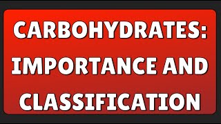 Carbohydrates Importance and Classification [upl. by Ilarin]