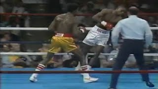 WOW WHAT A KNOCKOUT  Julian Jackson vs Terry Norris Full HD Highlights [upl. by Ayatal]