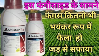 amistar top  amistar top fungicide  syngenta amistar top  amistar fungicide [upl. by Nosnej]