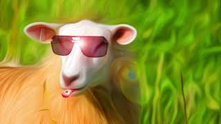 LES MOUTONS Originaly by Matmatah  FRENCHCORE EDIT  ANGZANG PROD [upl. by Coumas]