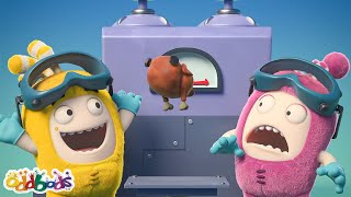 Chicken Ghost  मुर्गे का भूत  Funny Cartoon  OddBods Hindi  कॉमेडी कार्टून [upl. by Adhamh]