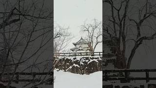 日本環島旅行｜百大名城｜青森縣Aomori｜弘前城 Hirosaki Castle ｜現存12天守閣｜Travelling in Japan｜日本旅遊 [upl. by Elocen]