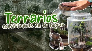 TERRARIOS  Fascinates ECOSISTEMAS en tu casa [upl. by Jemy]