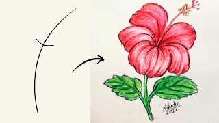 How to draw Hibiscus Flower🌺 with color pencil✨ Easy drawing for beginners [upl. by Anikahs386]